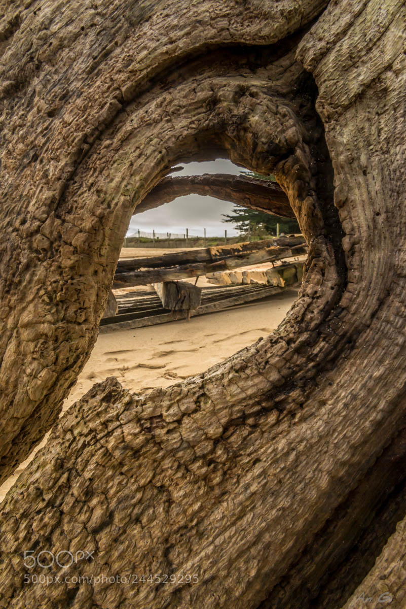 Nikon D600 sample photo. Balade au magouer photography