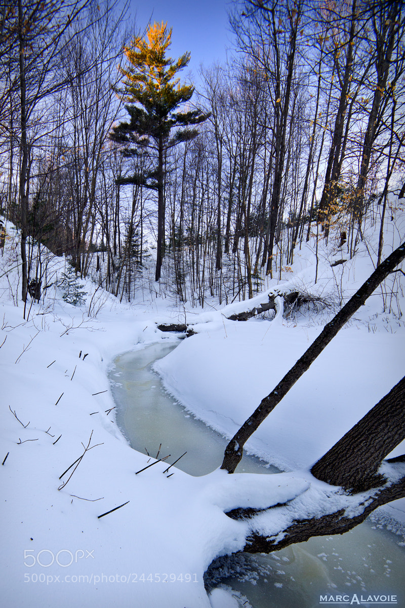 Pentax K-3 sample photo. Winter stream ii photography