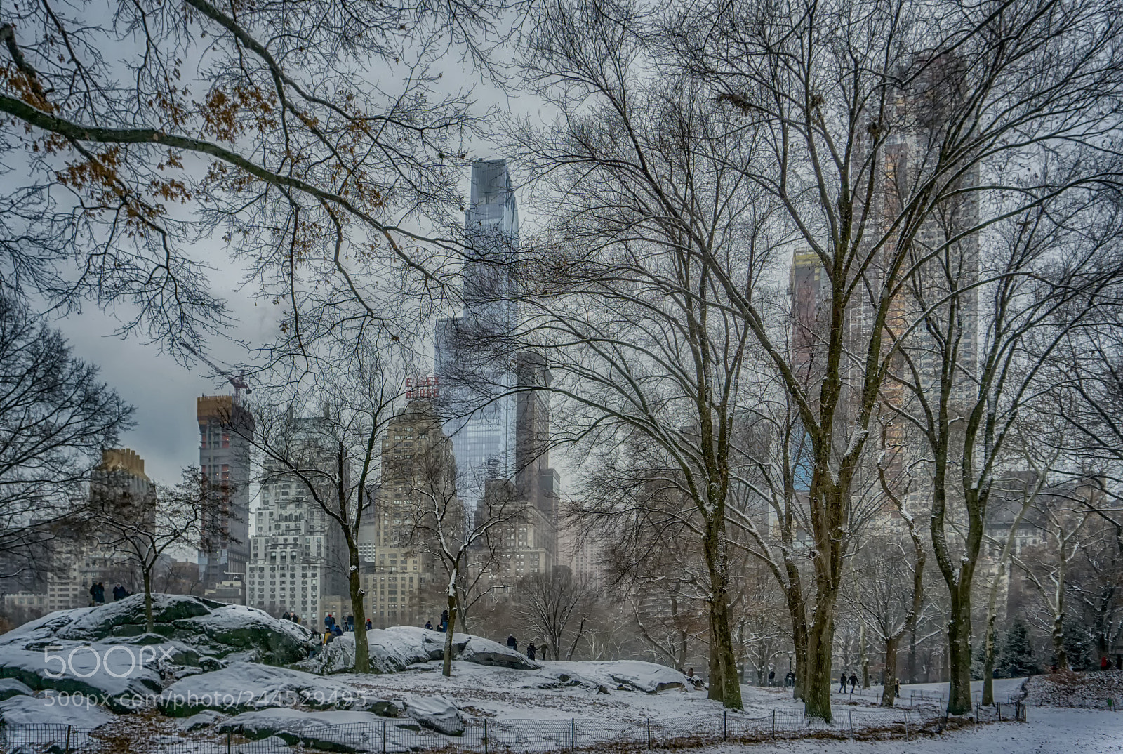 Sony a5100 sample photo. Urban nature photography