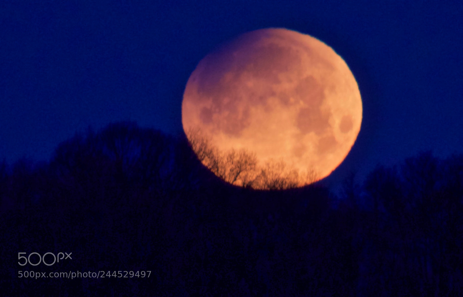 Canon EOS 7D Mark II sample photo. Super blue blood moon photography