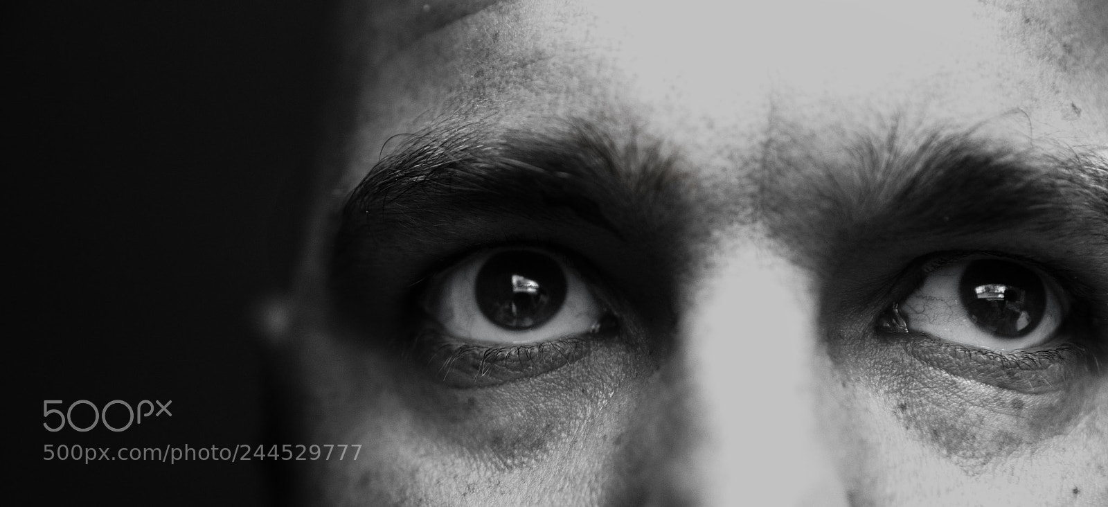 Sony a99 II sample photo. My eyes photography