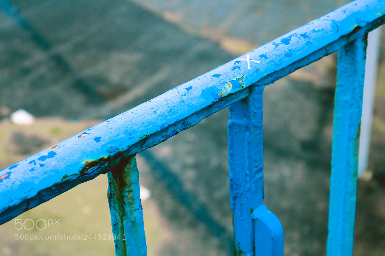 Canon EOS 750D (EOS Rebel T6i / EOS Kiss X8i) sample photo. Untitled photography