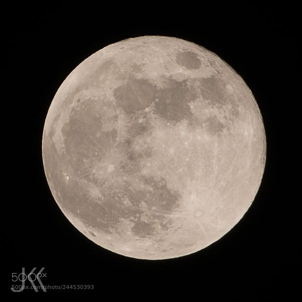 Nikon D800 sample photo. Blue moon photography