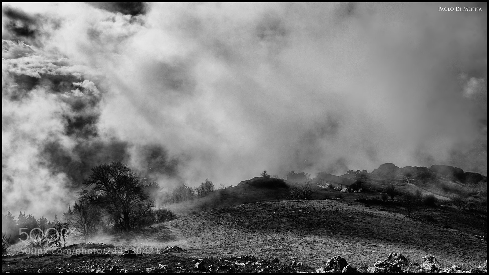 Nikon D600 sample photo. Fog photography