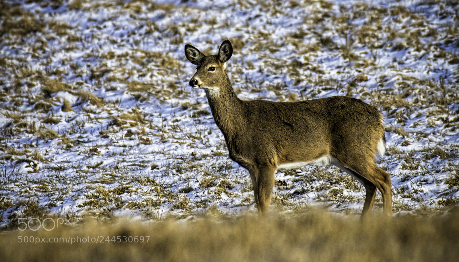 Nikon D810 sample photo. Edit photography