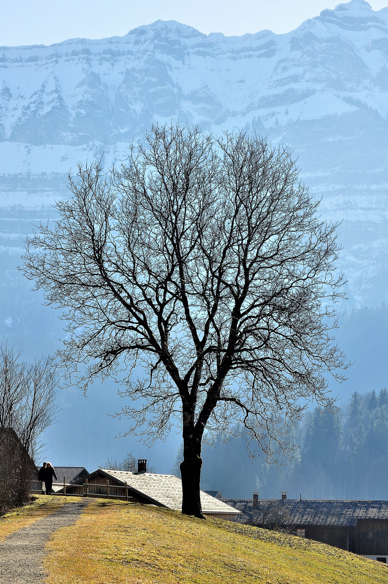 Nikon D90 sample photo. Lone tree photography