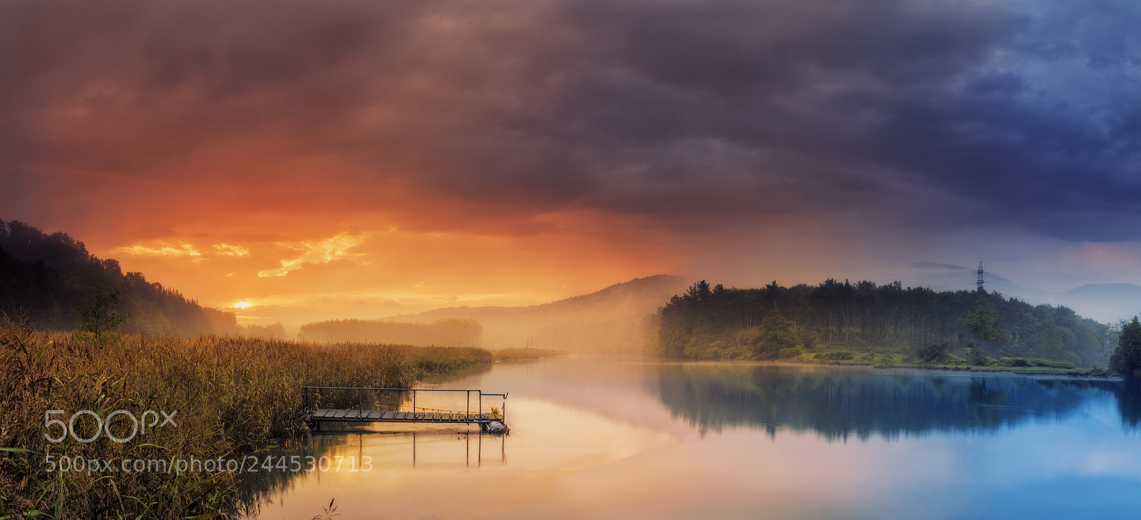 Nikon D800 sample photo. 4340. silence kingdom. photography