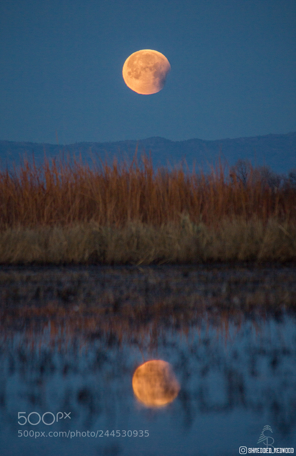 Canon EOS 550D (EOS Rebel T2i / EOS Kiss X4) sample photo. Super ;) moon photography