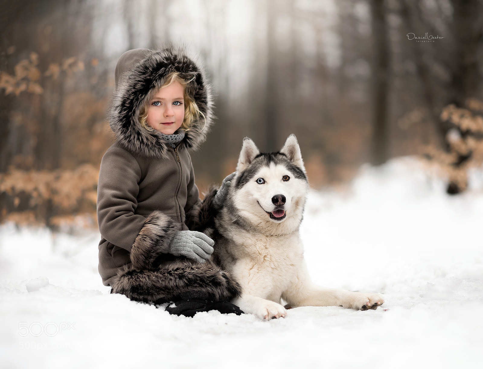 Nikon D810 sample photo. Winter greetings photography