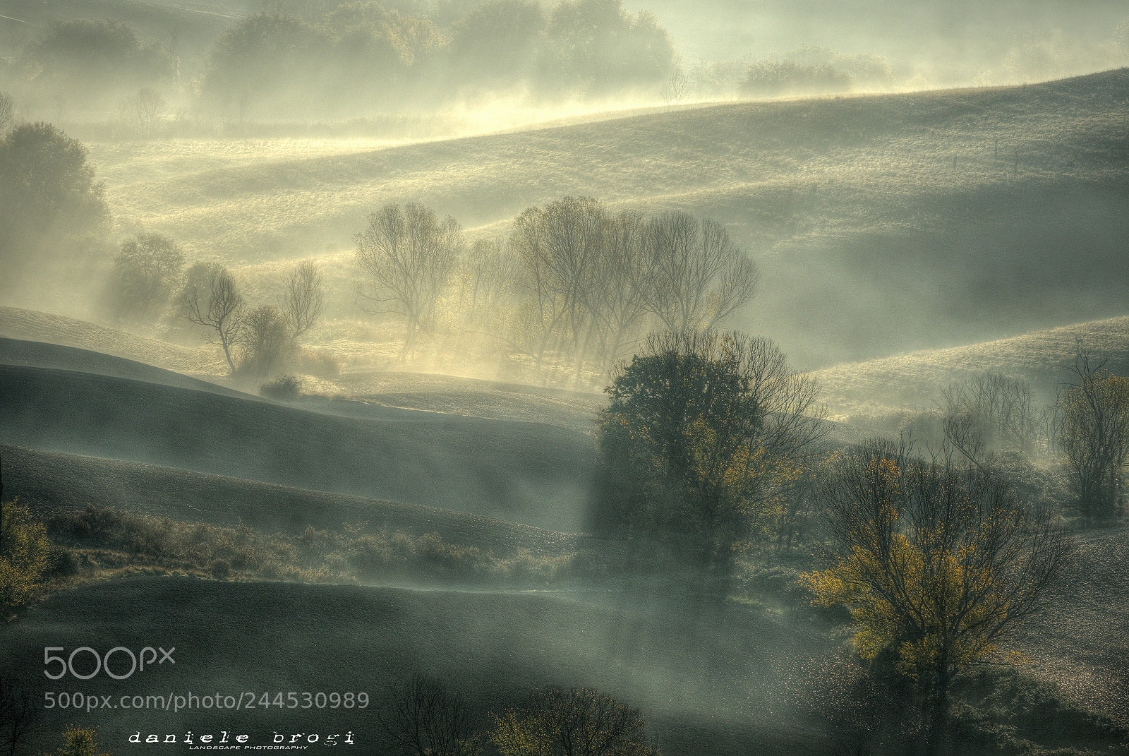 Sony a7R II sample photo. Mystic fog photography