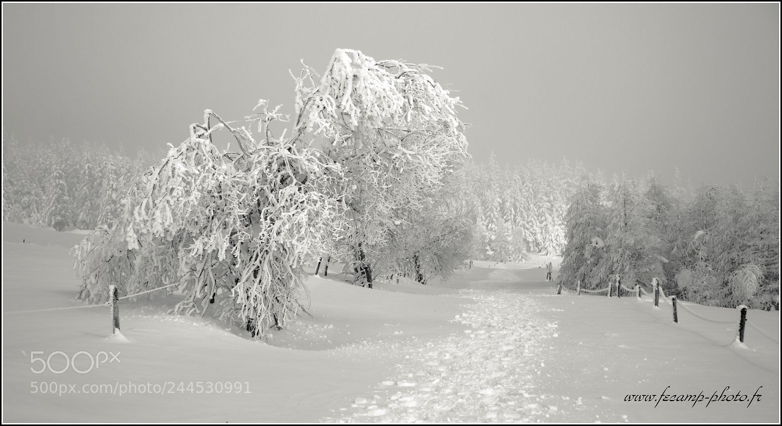 Canon EOS 50D sample photo. Snow, mist and sun... photography