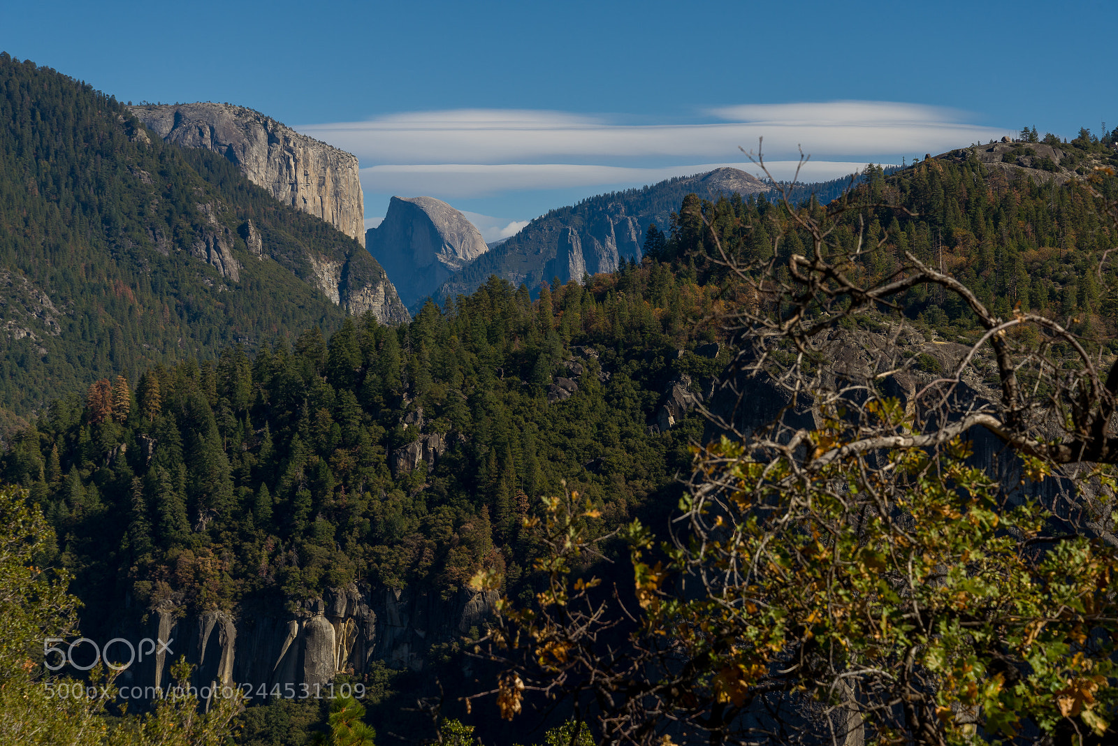 Nikon D800E sample photo. Half dome view point photography