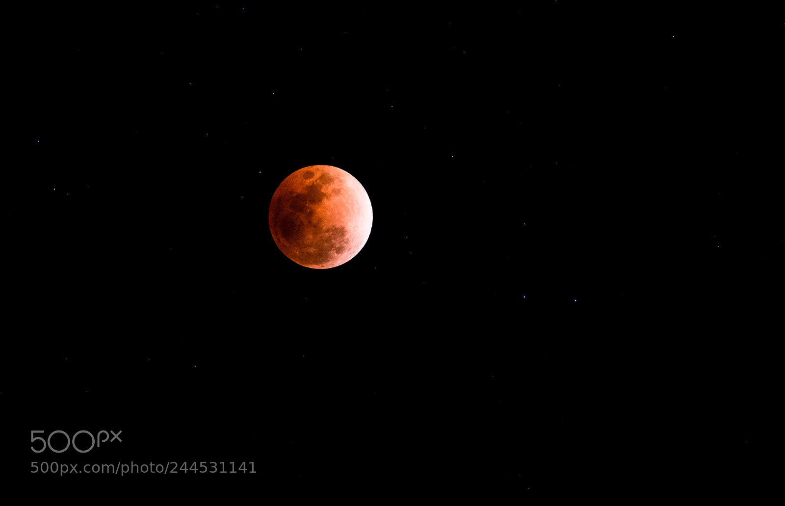 Nikon D610 sample photo. Total lunar eclipse photography