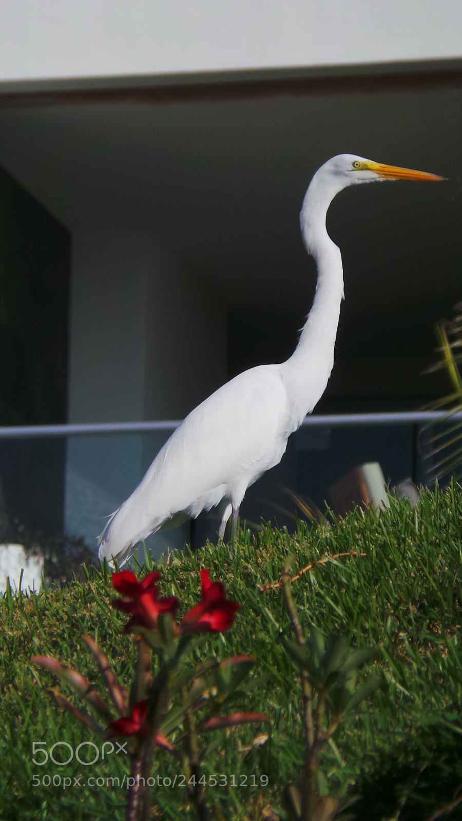 Samsung Galaxy Camera (Wi-Fi) sample photo. Majestueux photography