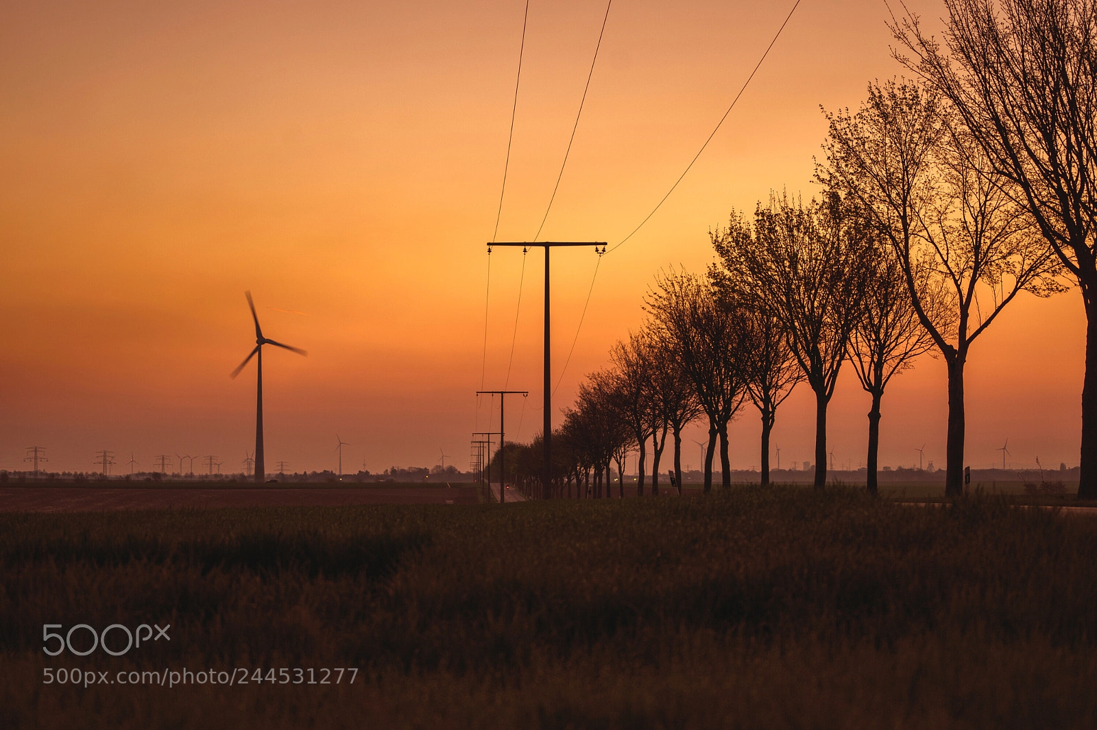 Sony a7 II sample photo. Sunrise after work. photography