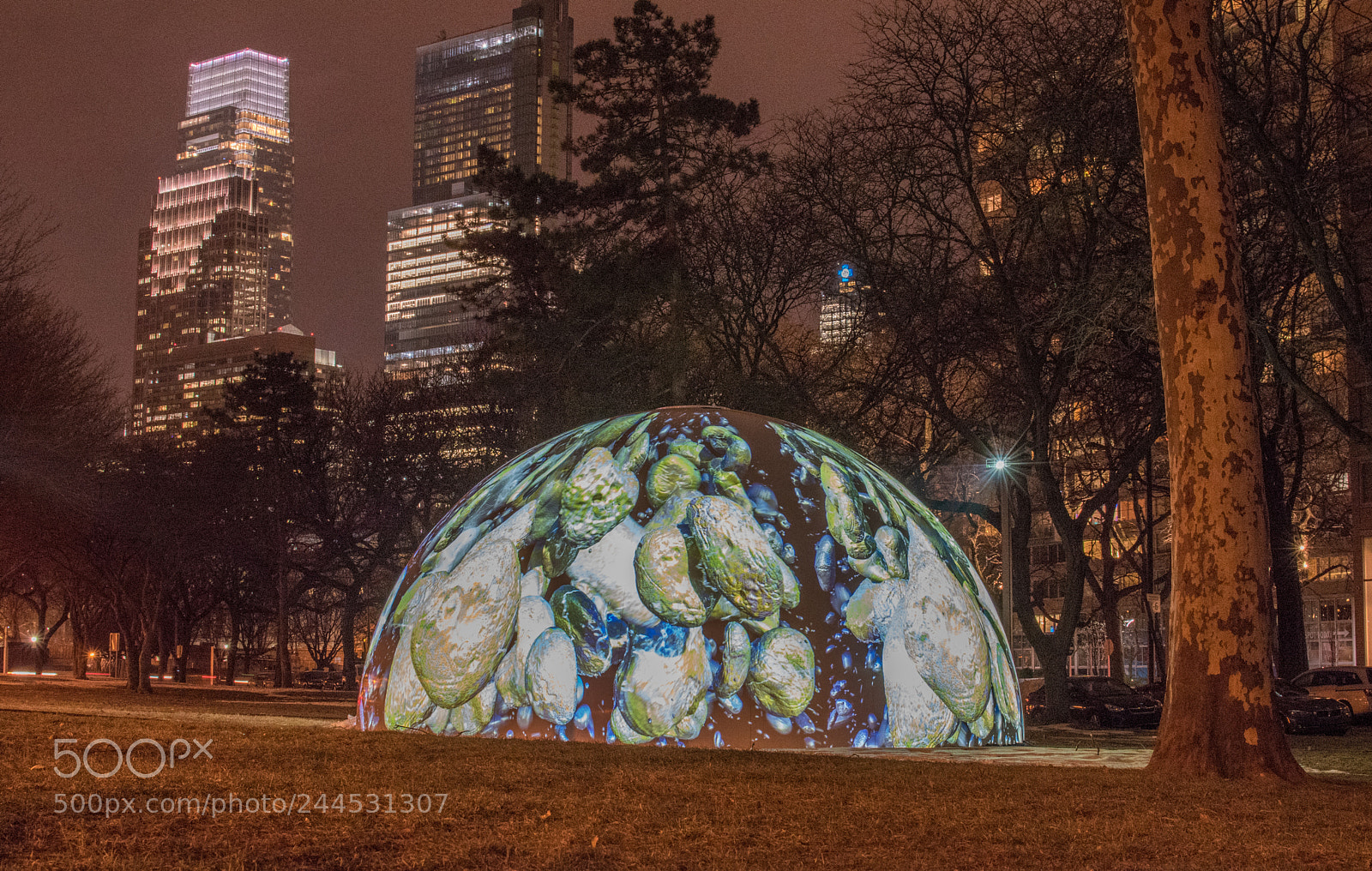 Nikon D5500 sample photo. Winter fountains photography