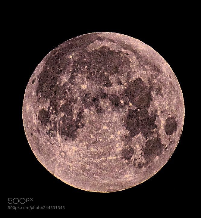 Canon EOS 600D (Rebel EOS T3i / EOS Kiss X5) sample photo. Blood moon blue moon photography