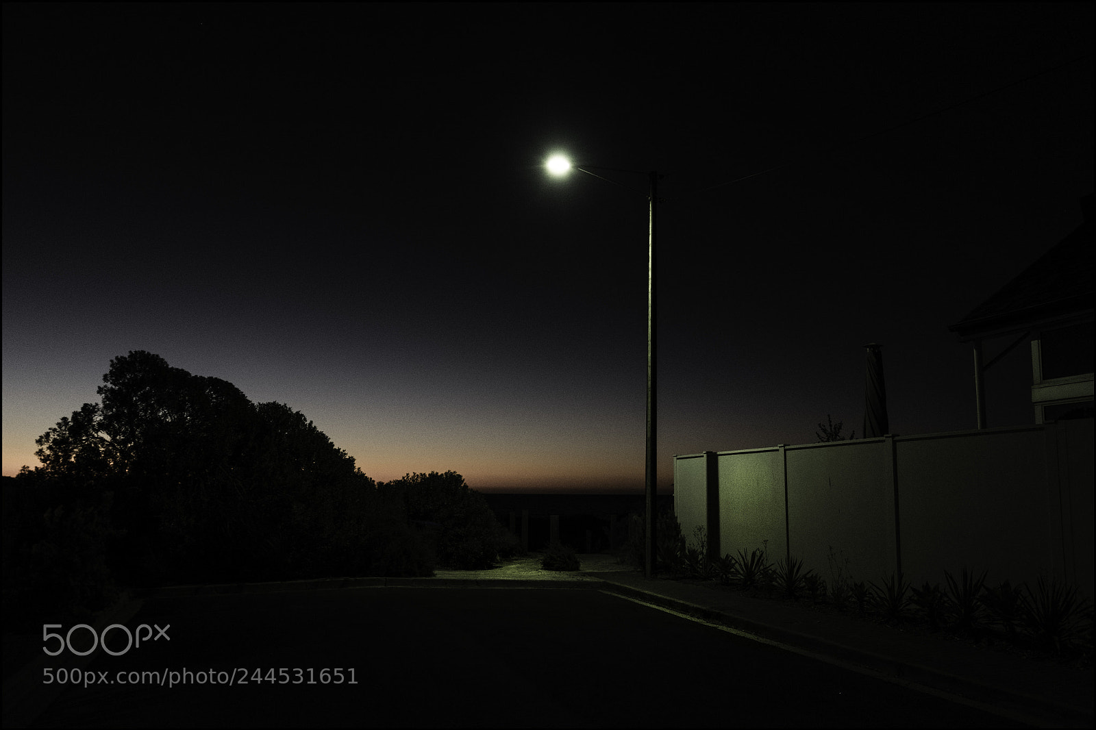 Fujifilm X-T1 sample photo. Night path to the photography