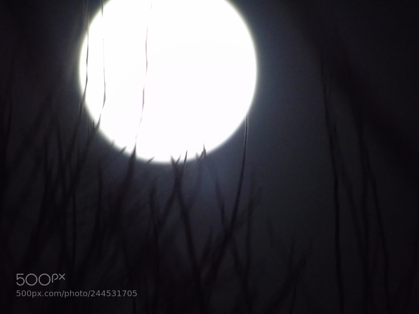 Sony Cyber-shot DSC-H400 sample photo. Stick blue super-moon photography