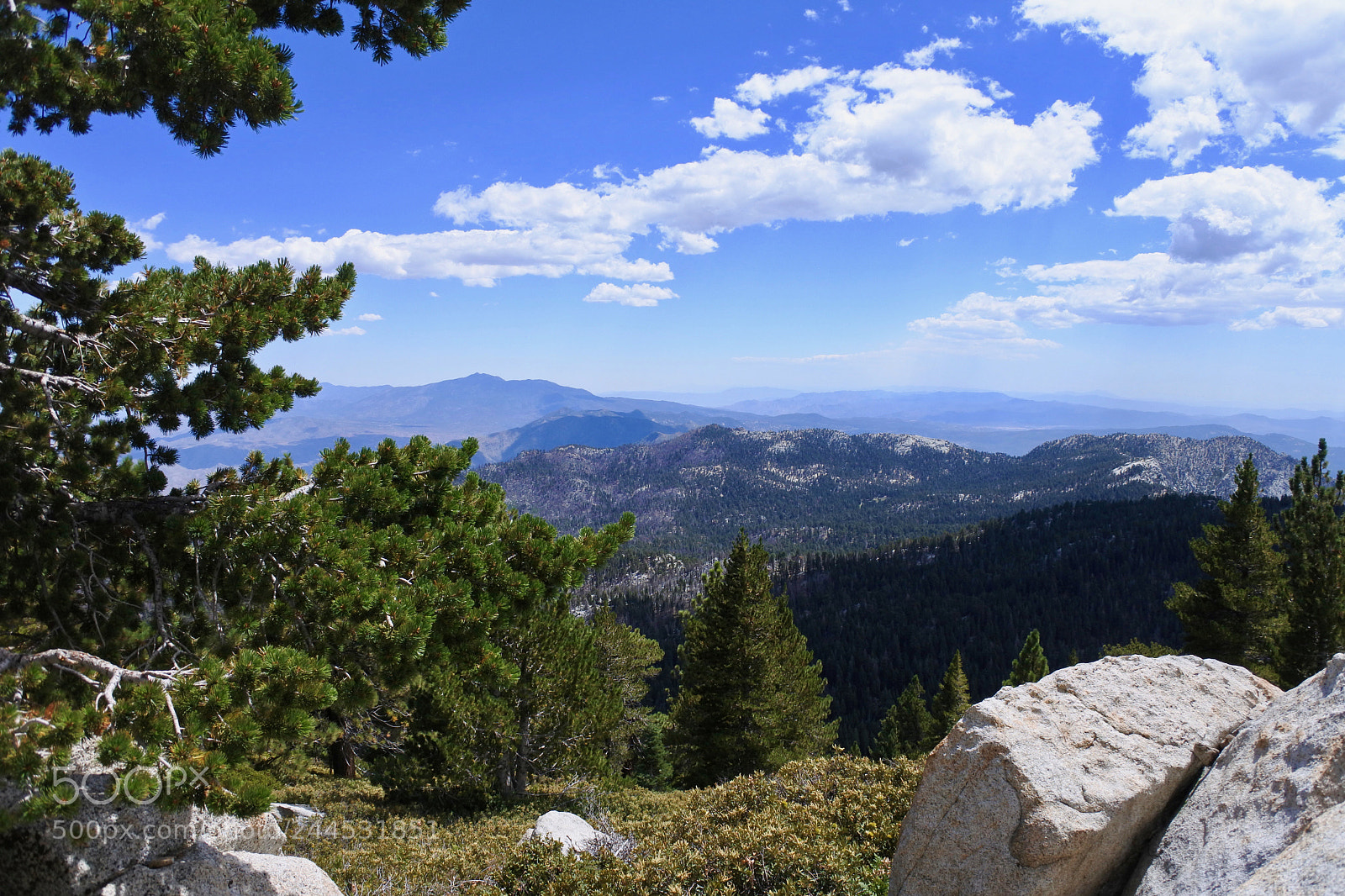 Nikon 1 J5 sample photo. San jacinto photography