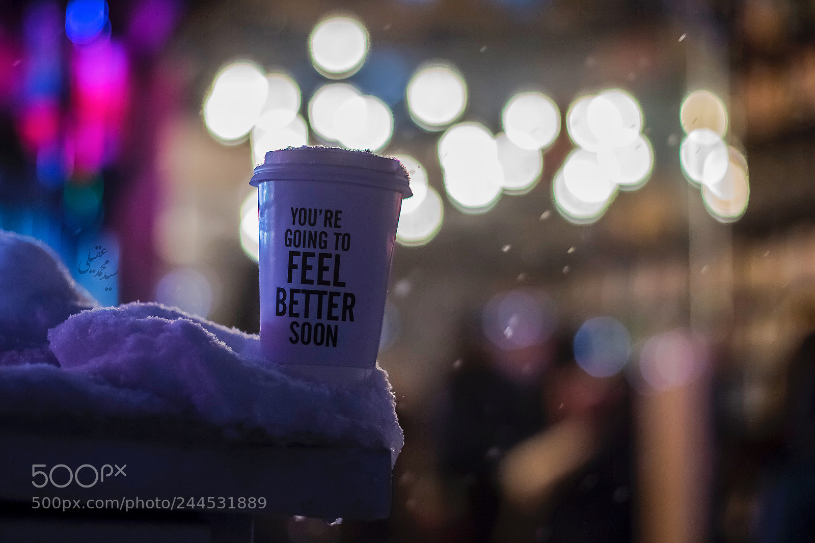 Canon EOS 7D Mark II sample photo. Just calm down photography