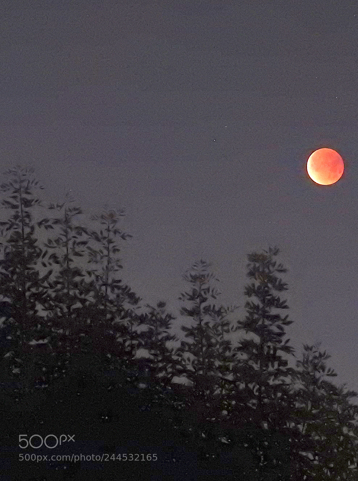Nikon Coolpix P900 sample photo. Eclipse evening photography
