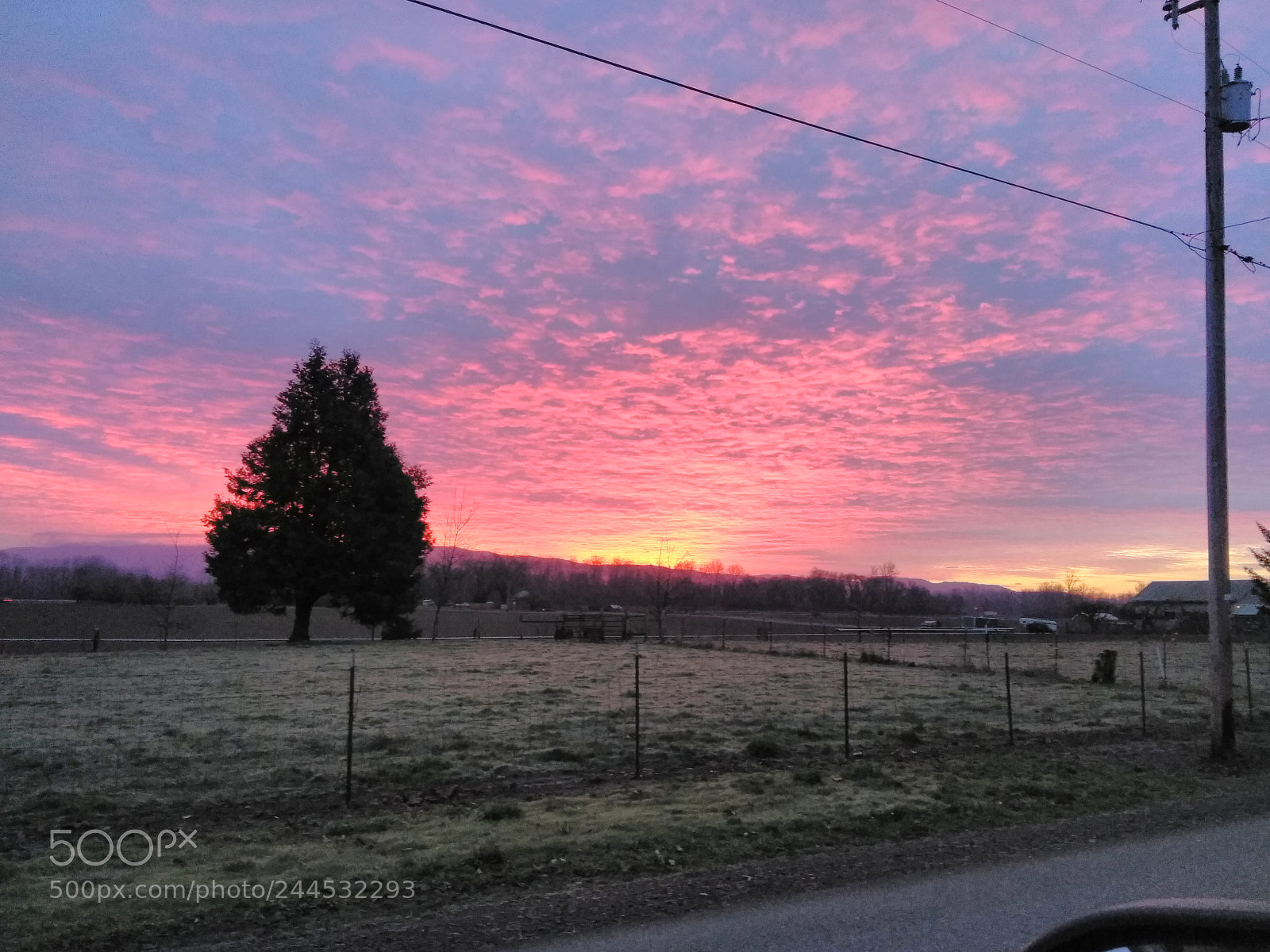 ZTE BLADE ZMAX sample photo. Untitled photography