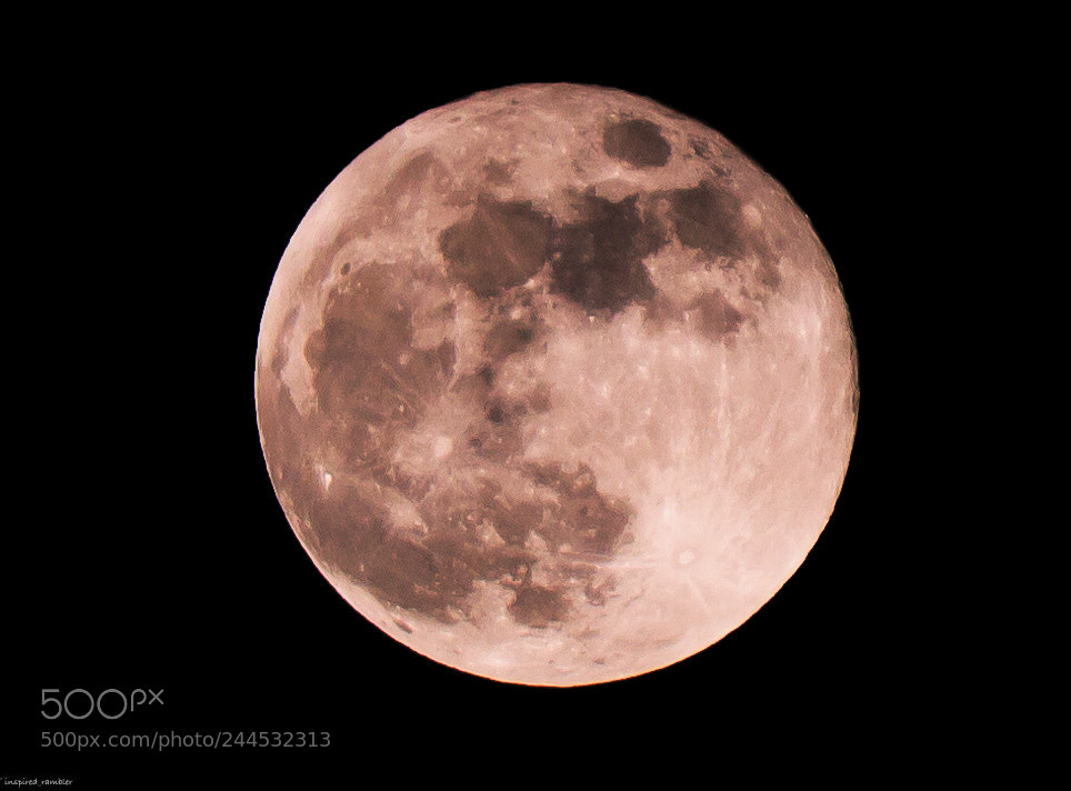 Canon EOS 550D (EOS Rebel T2i / EOS Kiss X4) sample photo. Supermoon photography