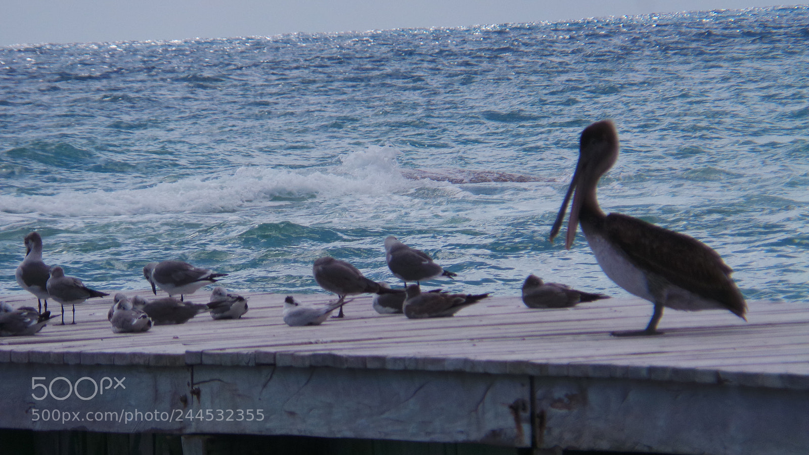 Samsung Galaxy Camera (Wi-Fi) sample photo. Riviera maya photography