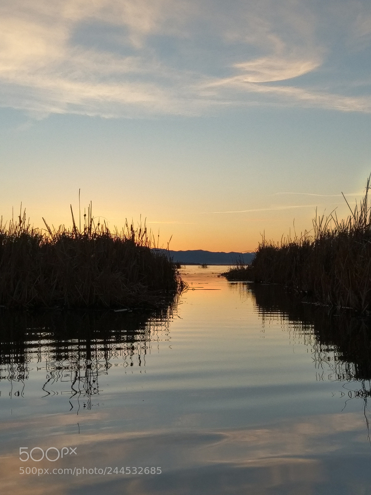 HTC 10 sample photo. Lake evening reeds. photography