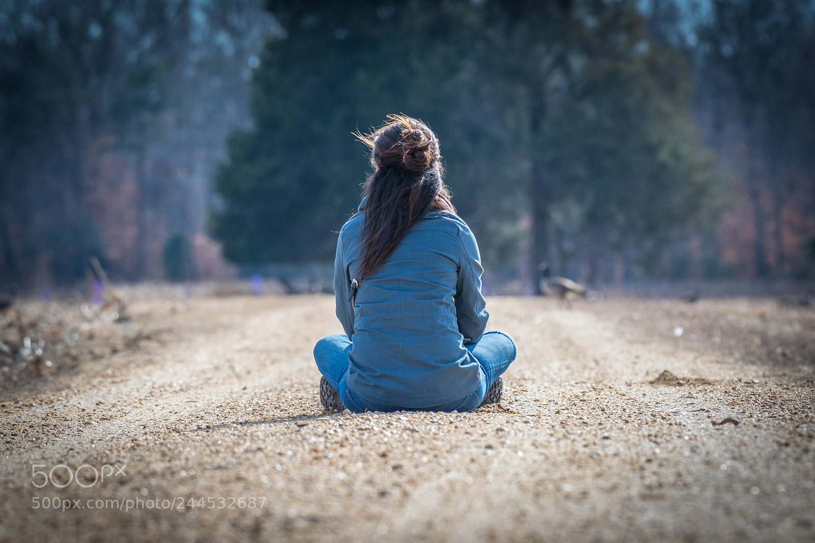 Nikon D7500 sample photo. Country roads, take me photography