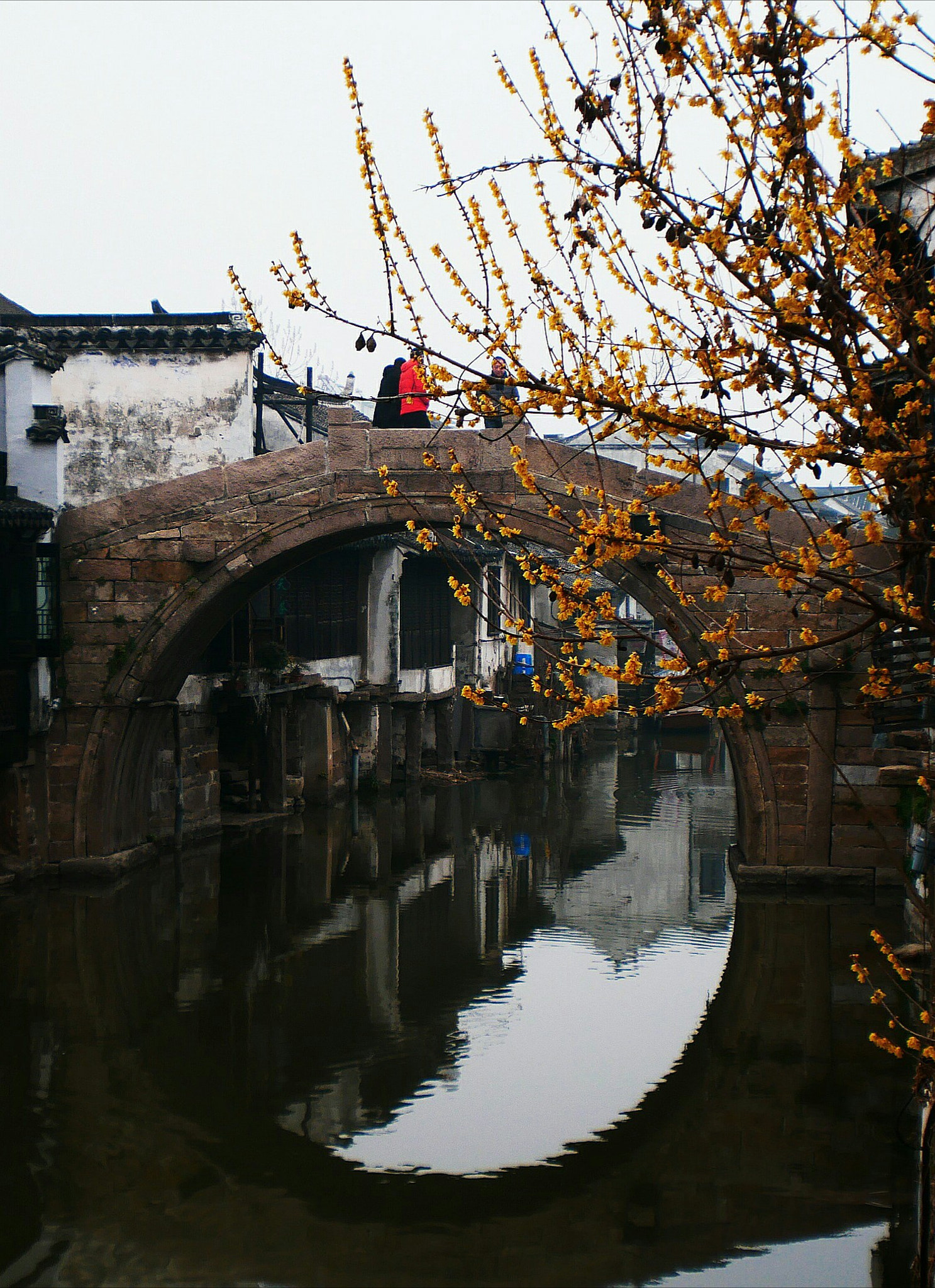 Panasonic Lumix DC-GX850 (Lumix DC-GX800 / Lumix DC-GF9) sample photo. Shaxi old town photography