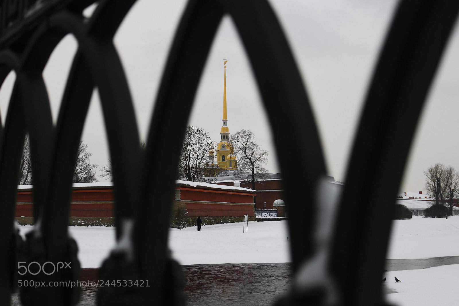 Canon EOS 750D (EOS Rebel T6i / EOS Kiss X8i) sample photo. Saint-petersburg photography