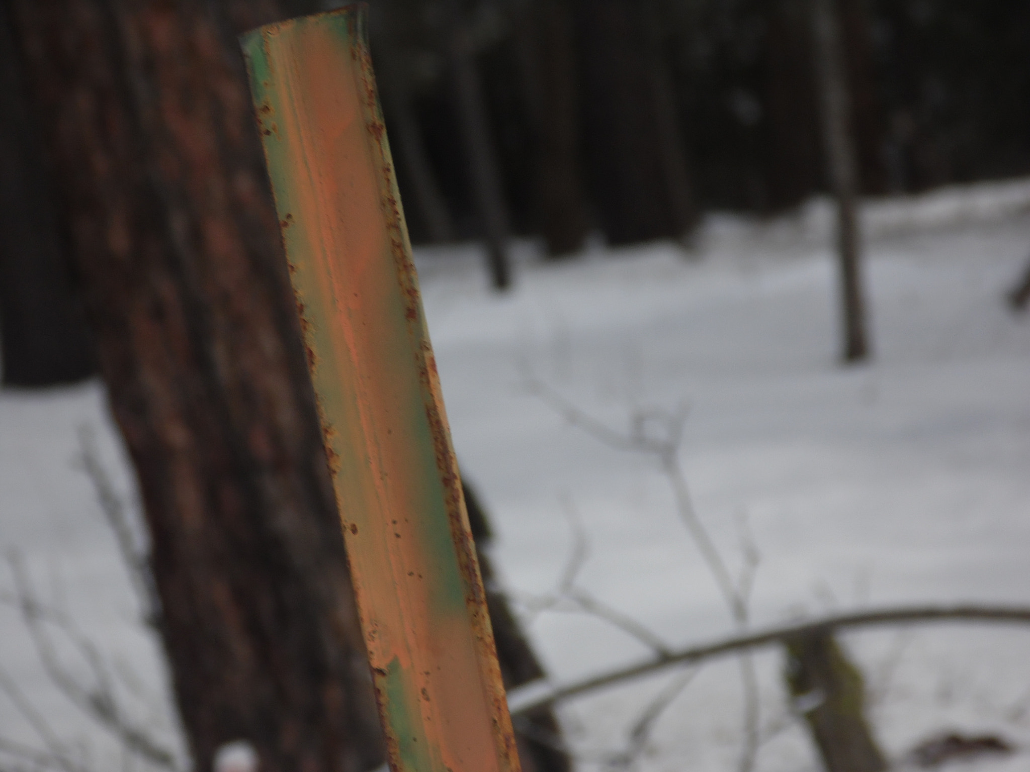 Samsung WB100/  WB101 sample photo. ..... photography