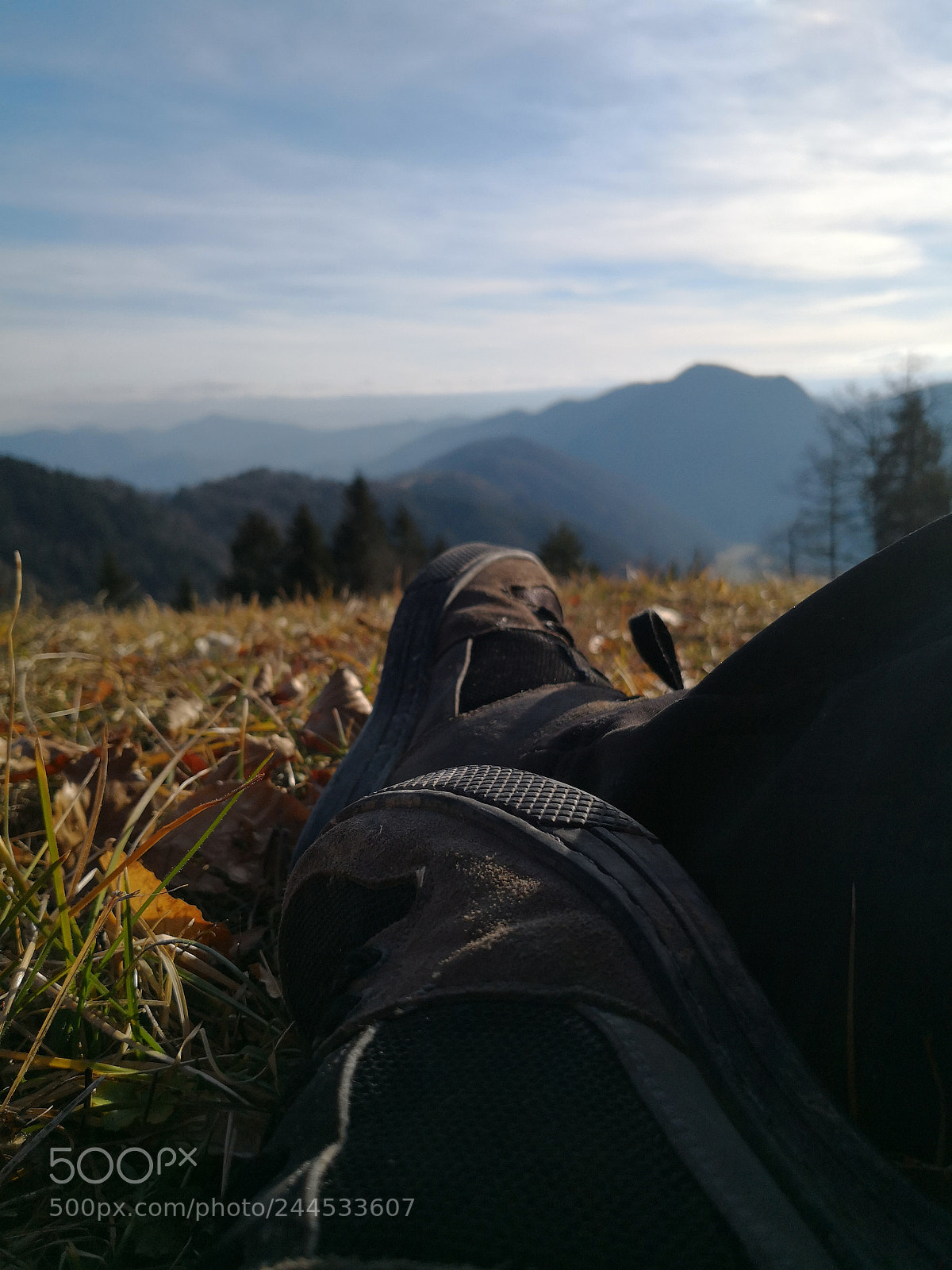 HUAWEI Mate 10 Pro sample photo. Untitled photography