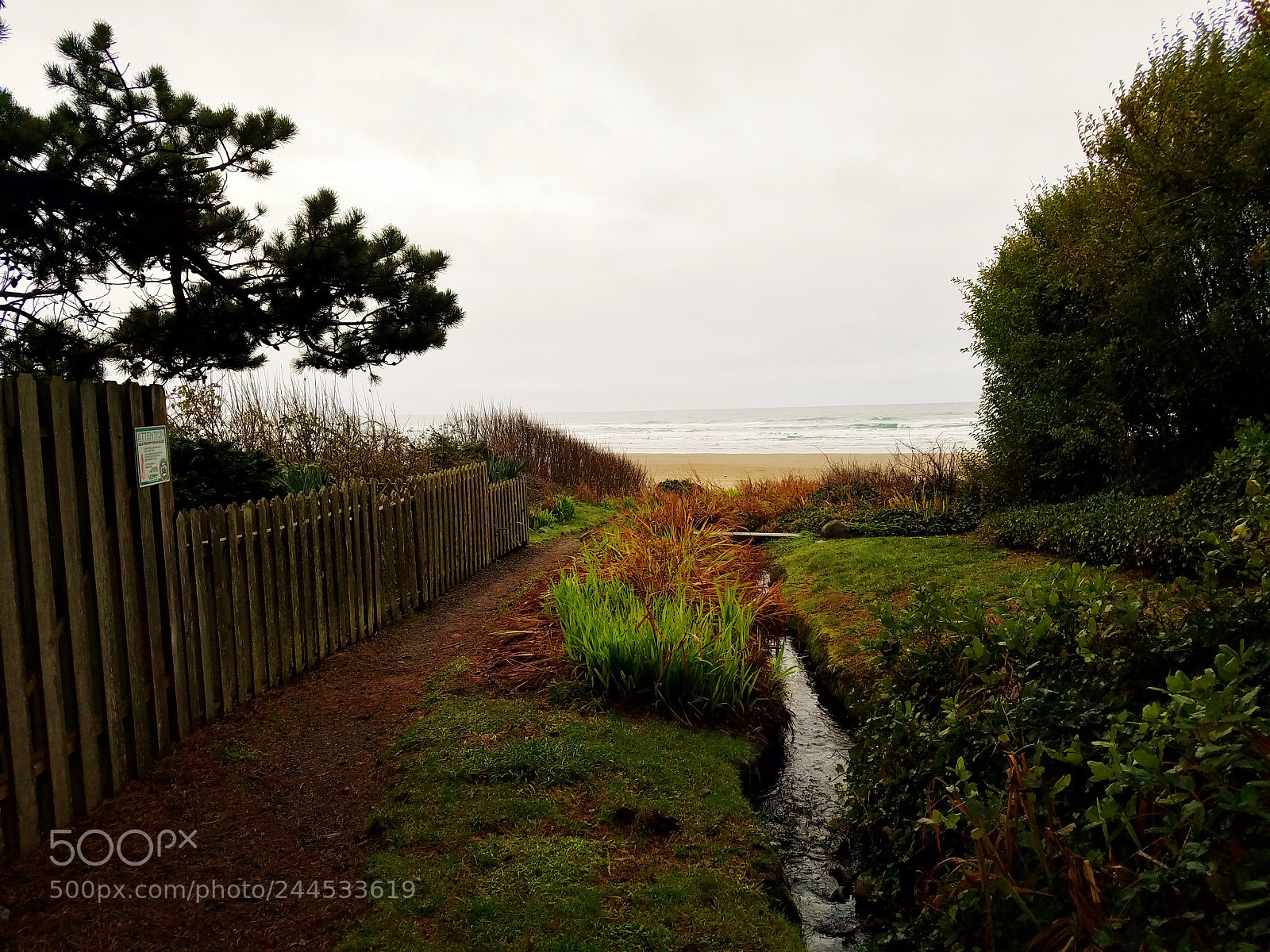 Samsung Galaxy S7 sample photo. Beach path photography