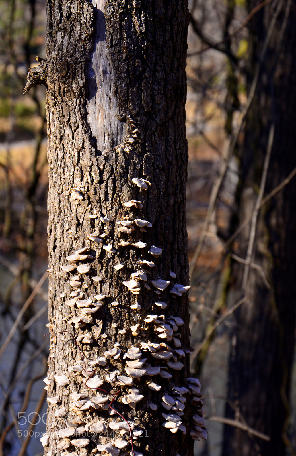 Nikon D7100 sample photo. Nearing the end photography