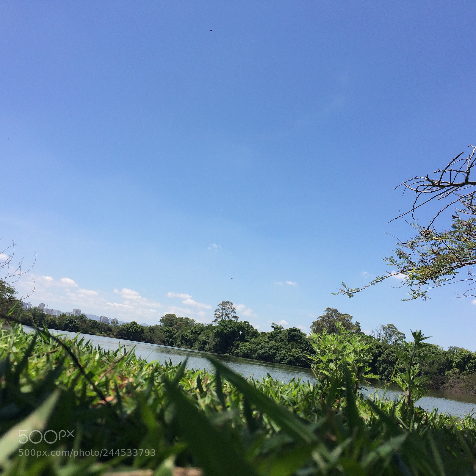 Apple iPhone 5s sample photo. Img photography