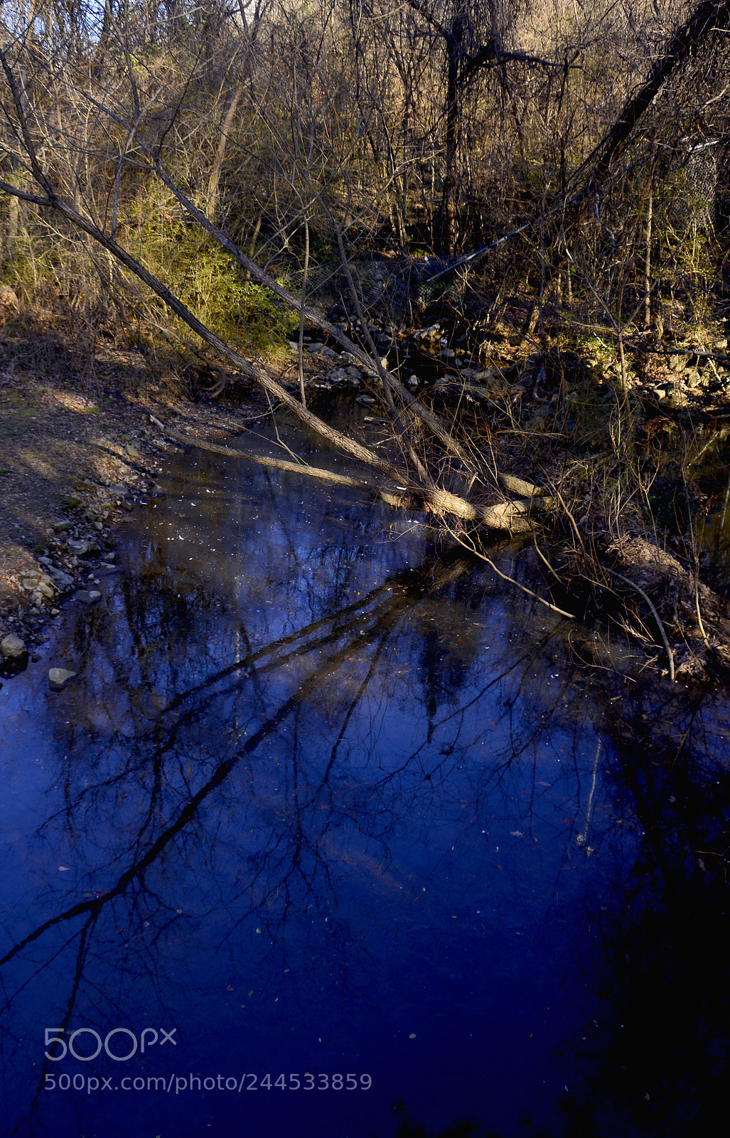 Nikon D7100 sample photo. End of the lake photography