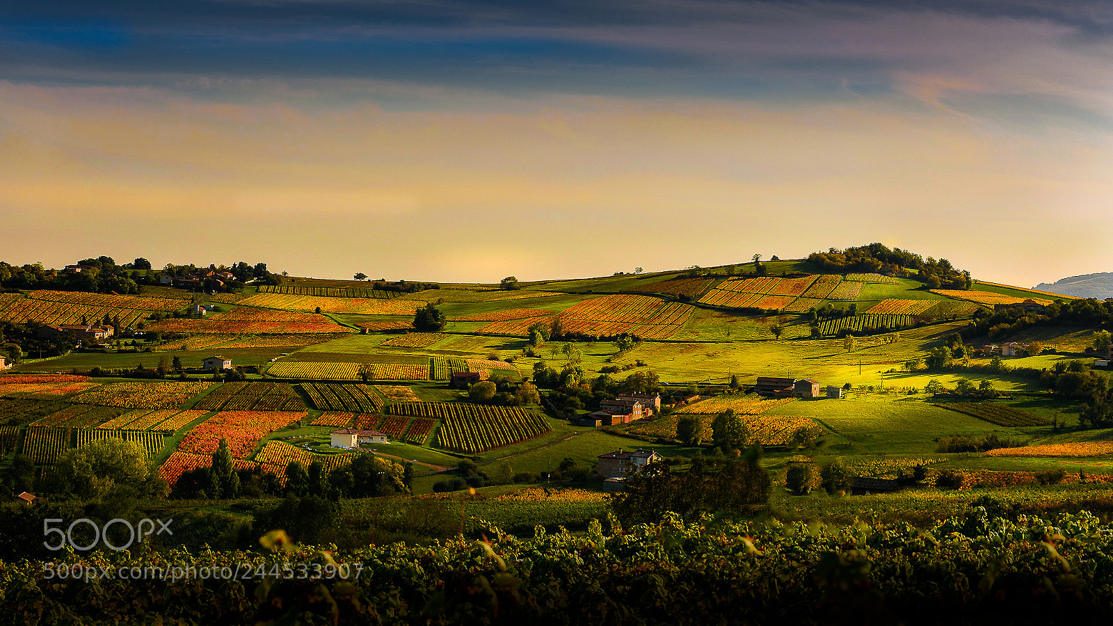 Nikon D810 sample photo. Douce france. photography