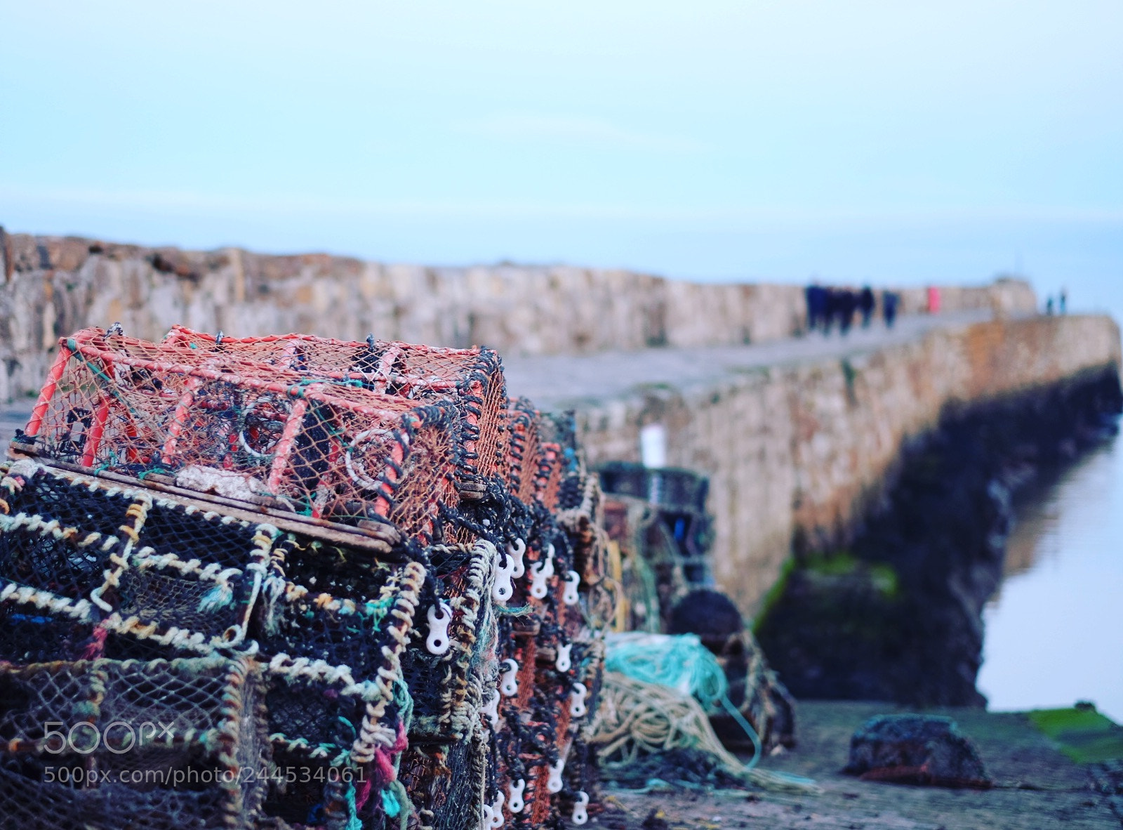 Fujifilm X-T1 sample photo. Scotland and on a photography