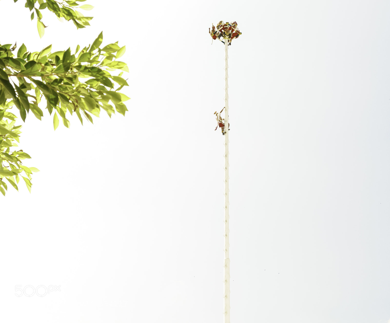Sony a7R II sample photo. Voladores de papantla photography