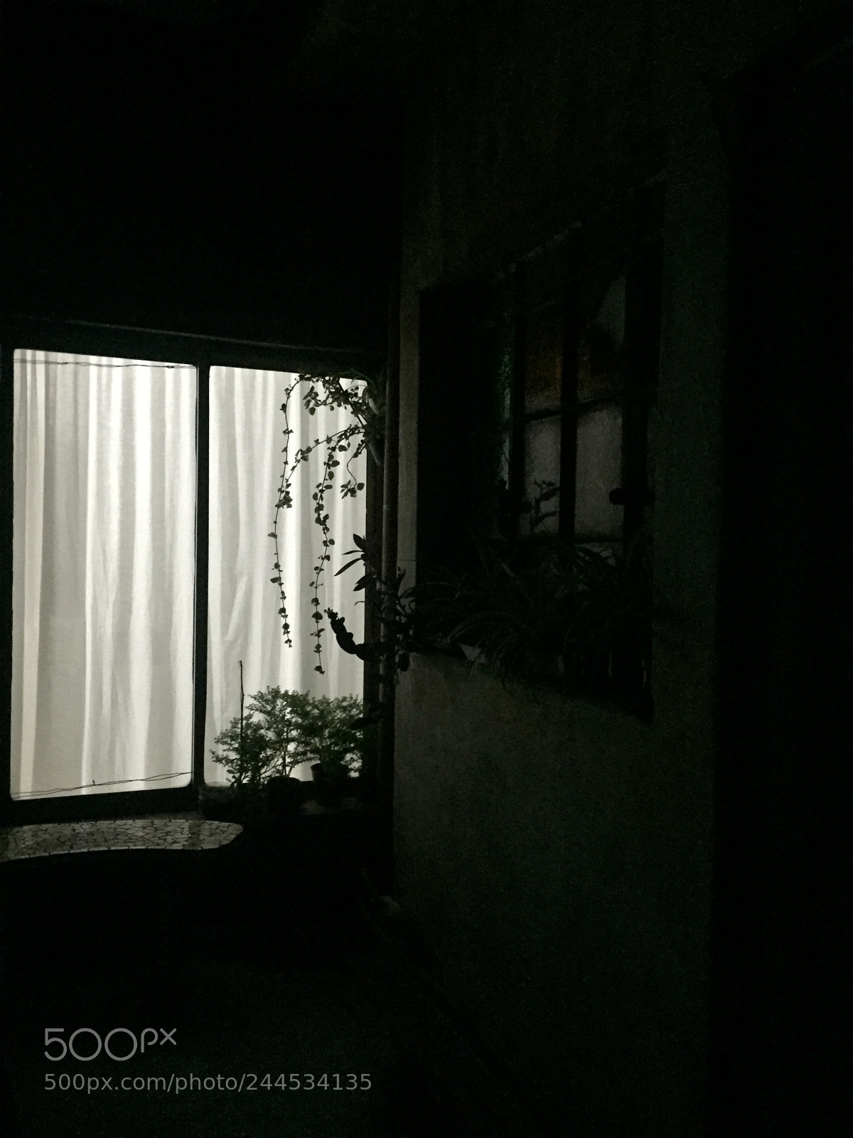 Apple iPhone 6 sample photo. Untitled photography