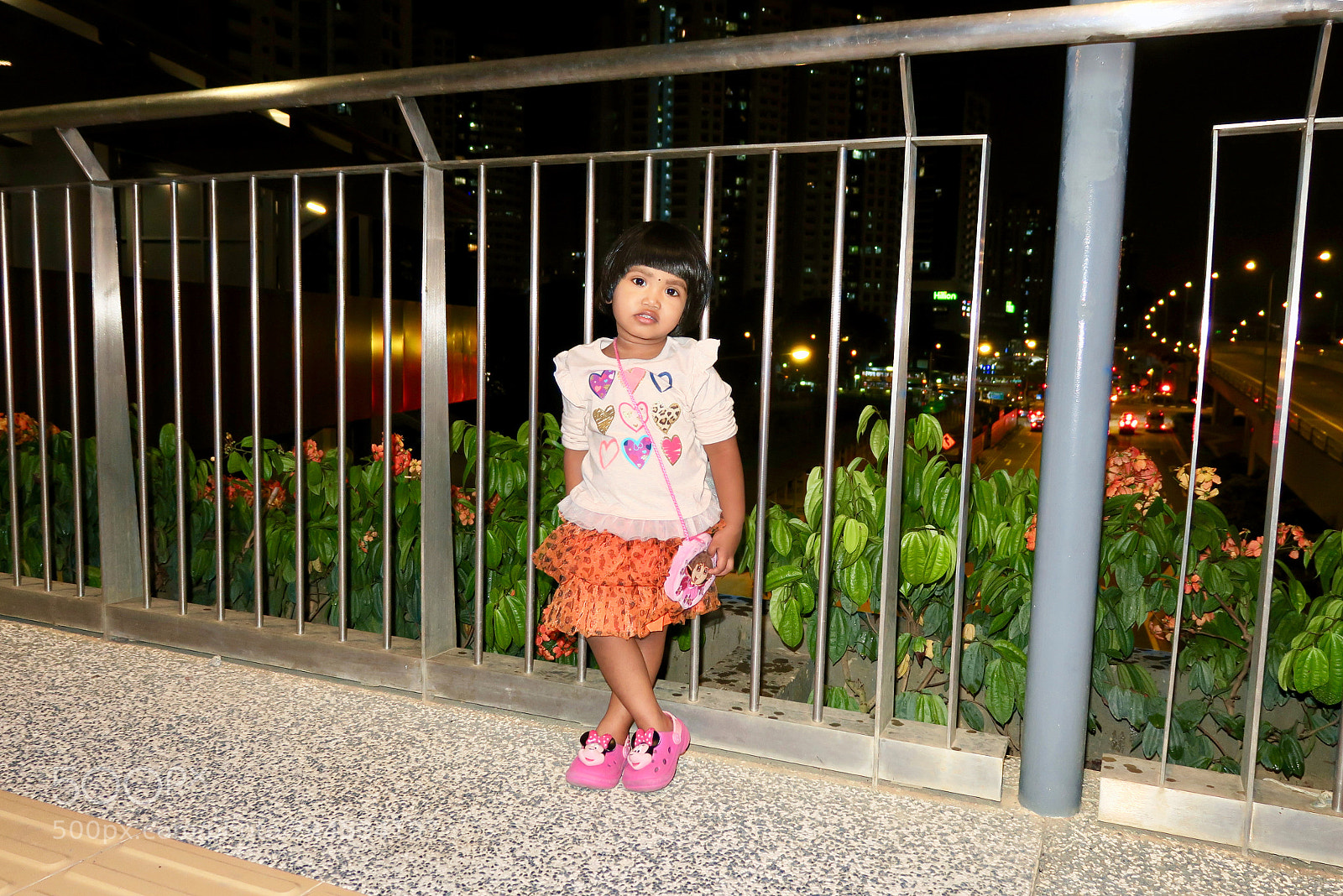 Canon PowerShot G3 X sample photo. Tanu photography