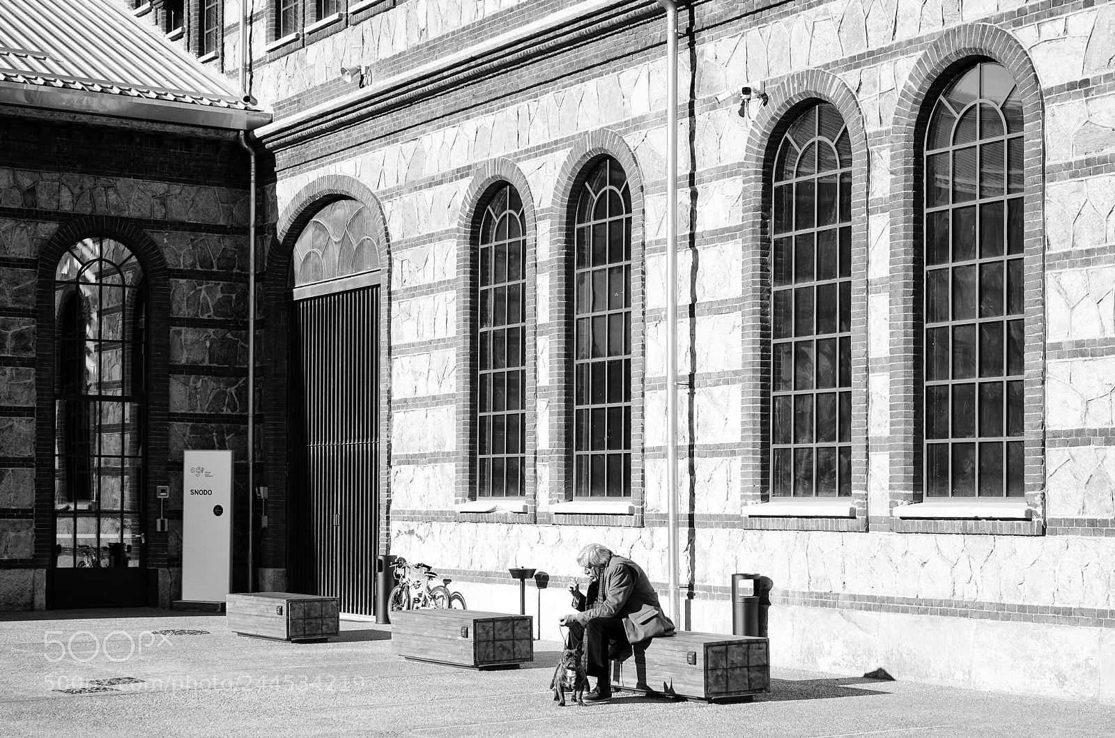 Nikon D5100 sample photo. Dog and men 2 photography