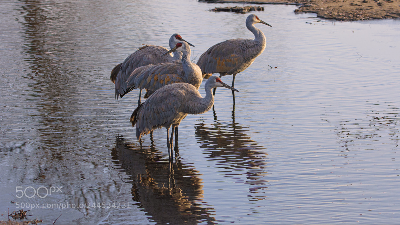 Nikon D7200 sample photo. Morning in icy water photography