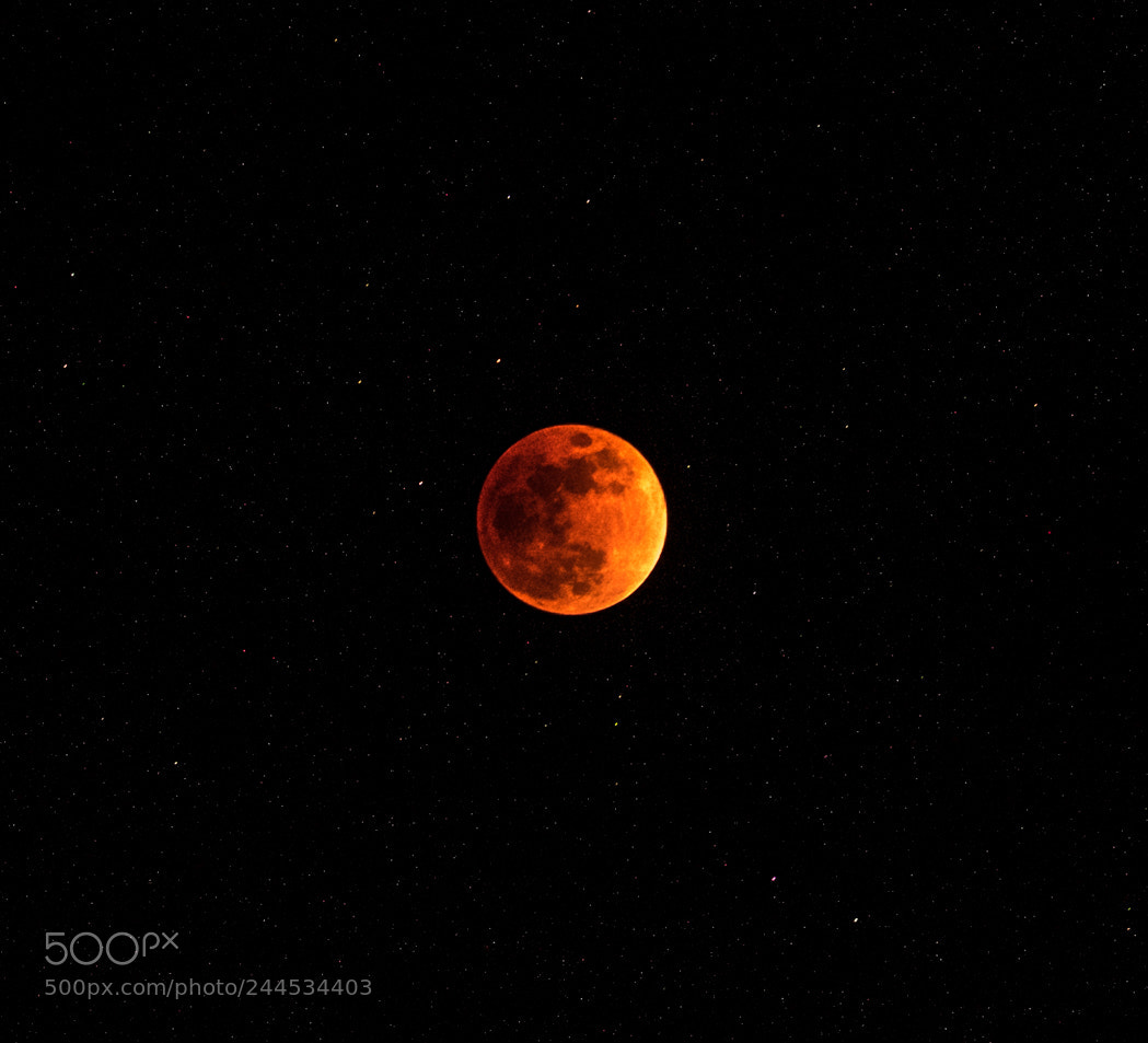 Fujifilm X-T1 sample photo. Blood moon jan 2018 photography