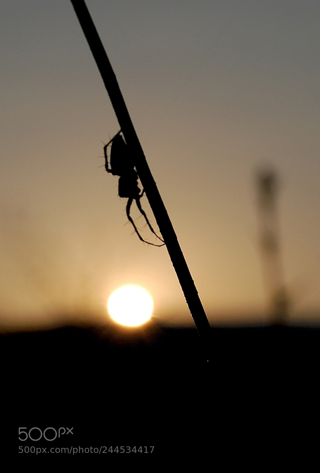 Nikon D40X sample photo. Sunset saga photography