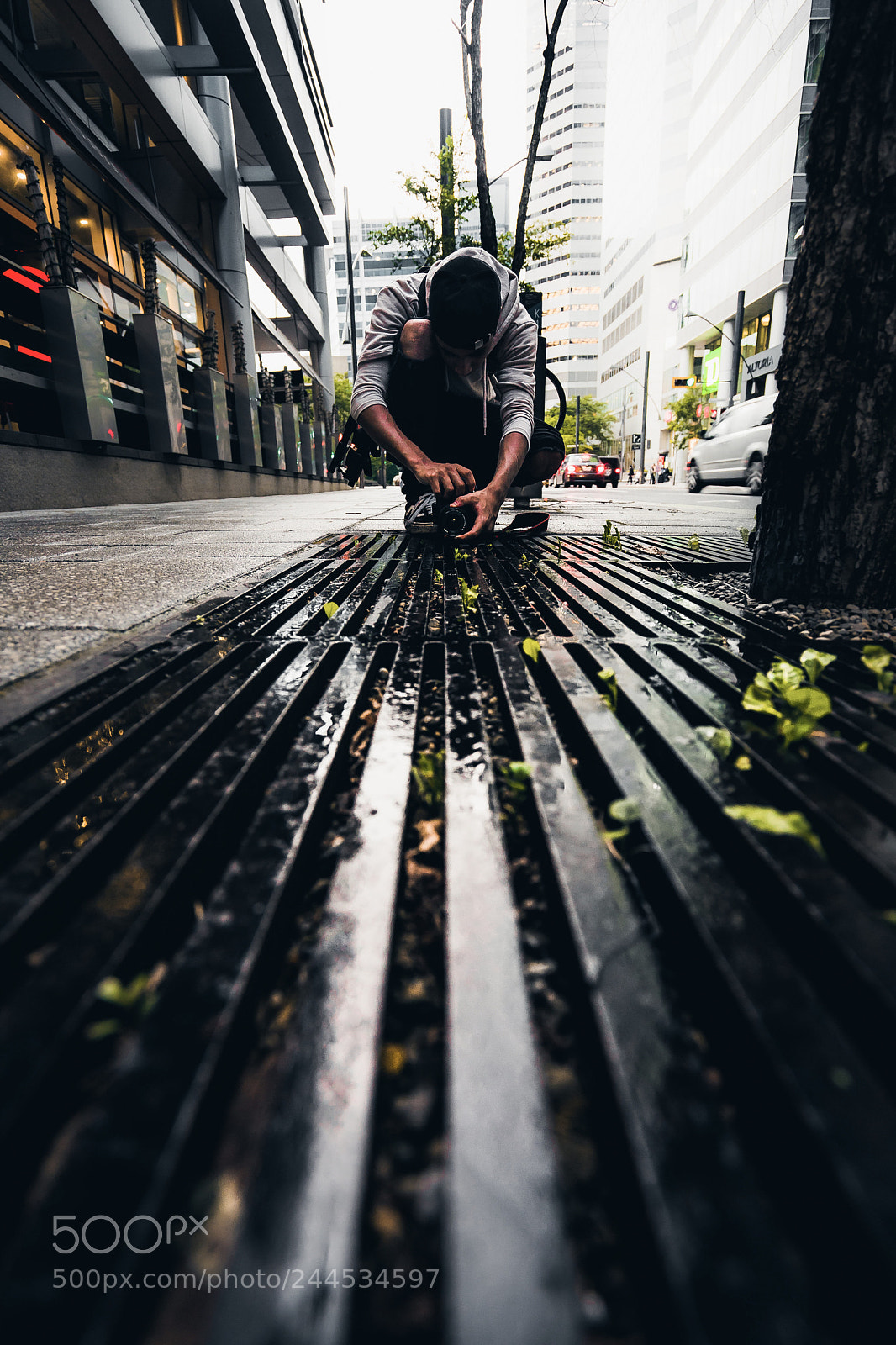 Sony a7 II sample photo. One of my fav photography