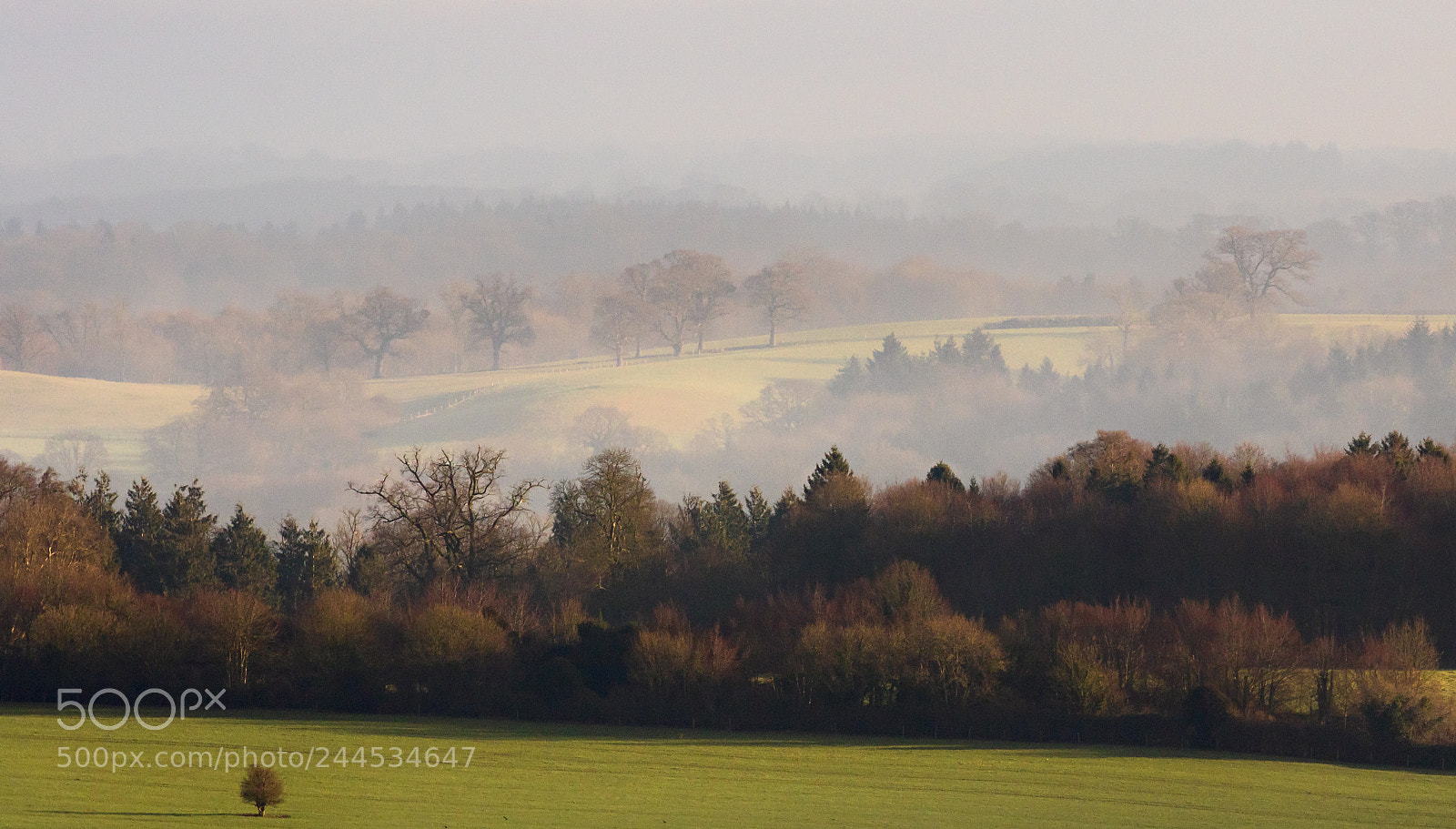 Canon EOS 7D Mark II sample photo. Misty layers photography